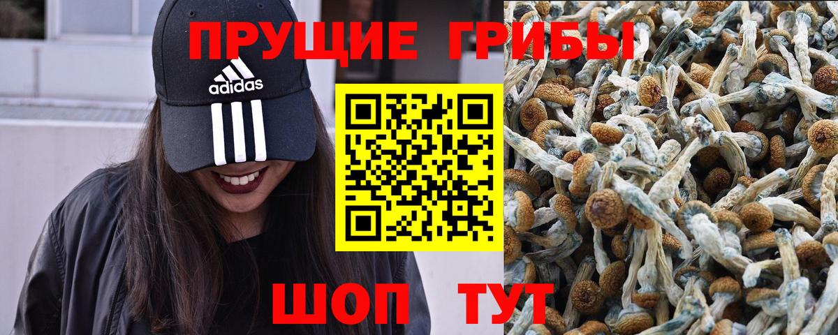Псилоцибиновые грибы ЛСД  Вход с VPN  цена наркотик  Ковров 
